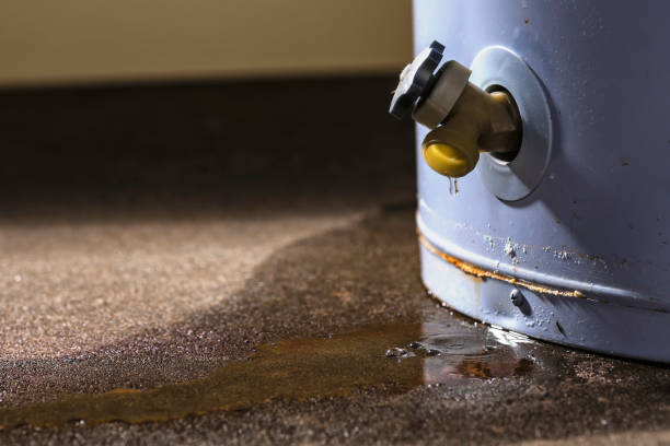 Best Mold removal after water damage  in Port Byron, NY