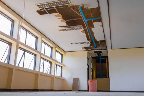Best Basement water damage restoration  in Port Byron, NY
