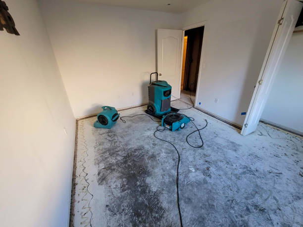 Best Sewage cleanup and water damage restoration  in Port Byron, NY