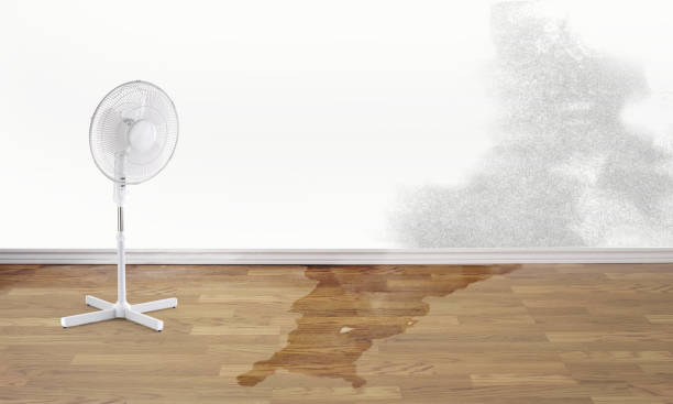 Best 24-hour water damage restoration  in Port Byron, NY