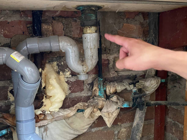 Best Ceiling water damage repair  in Port Byron, NY