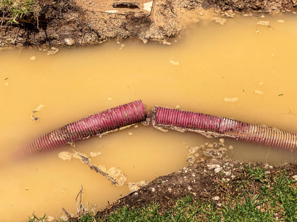 Best Water damage restoration near me  in Port Byron, NY