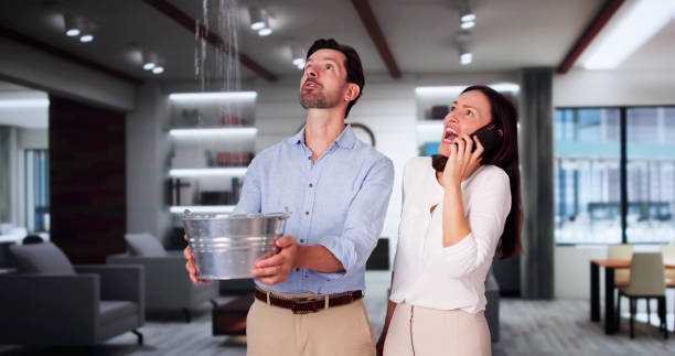 Best Mold removal after water damage  in Port Byron, NY